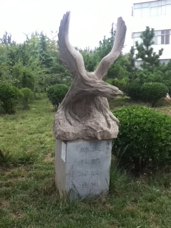 ѧԺУ԰