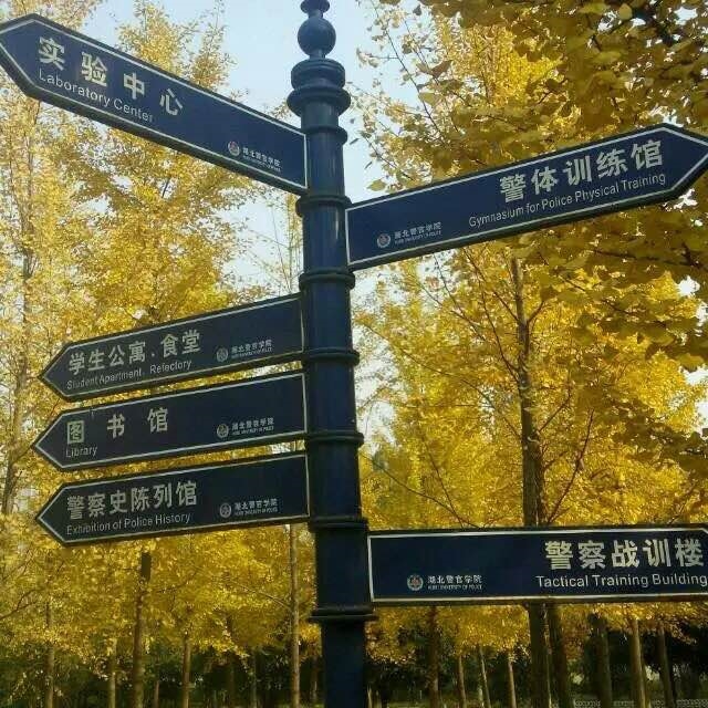 ѧԺУ԰