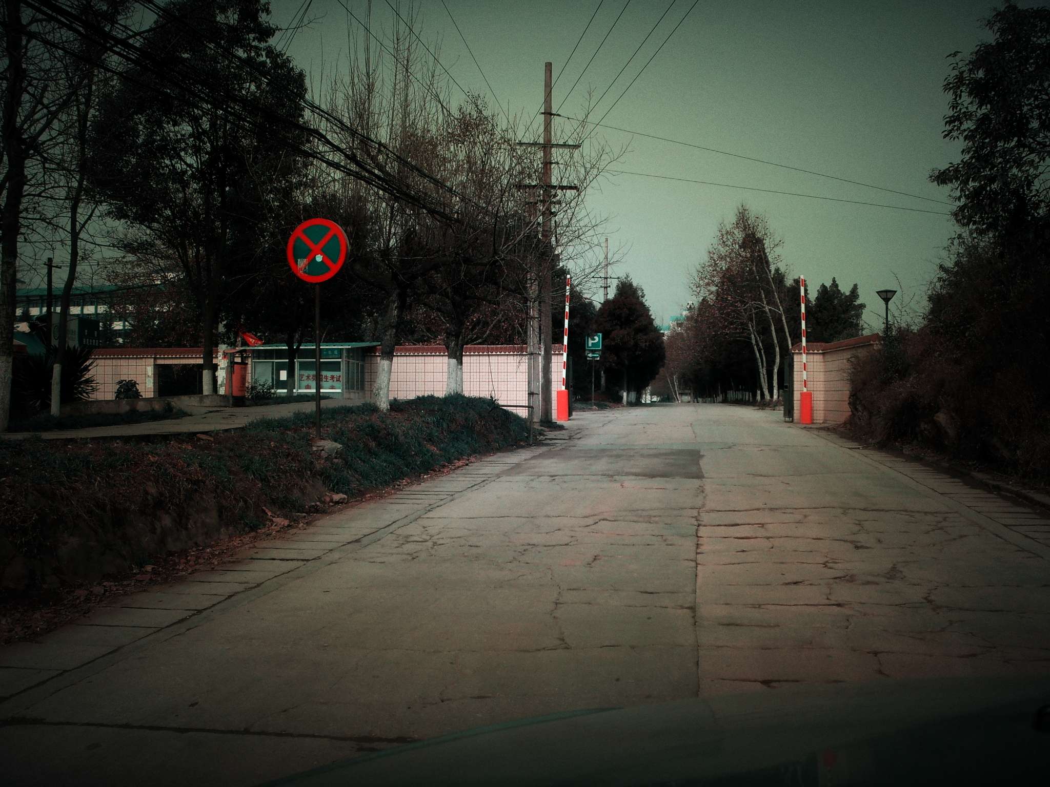 ѧĿƼѧԺУ԰