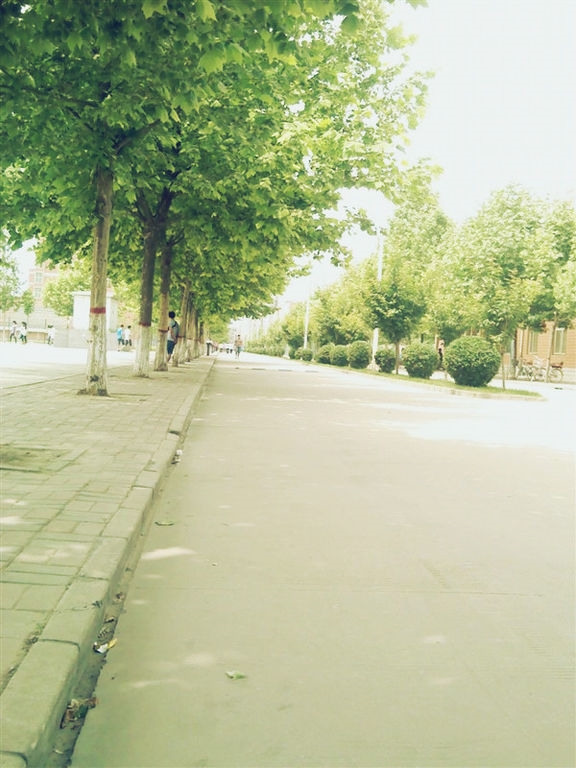 ӱ̼ѧԺУ԰