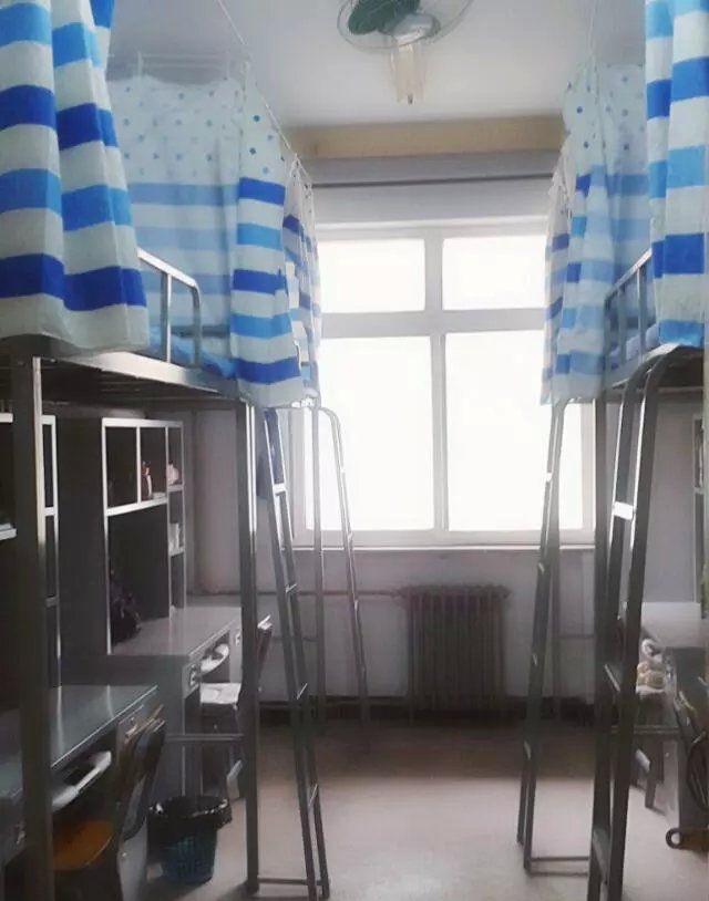 ʯׯƼϢְҵѧԺУ԰