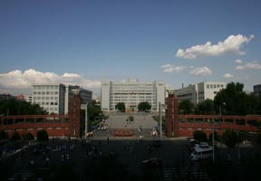 ½ѧ